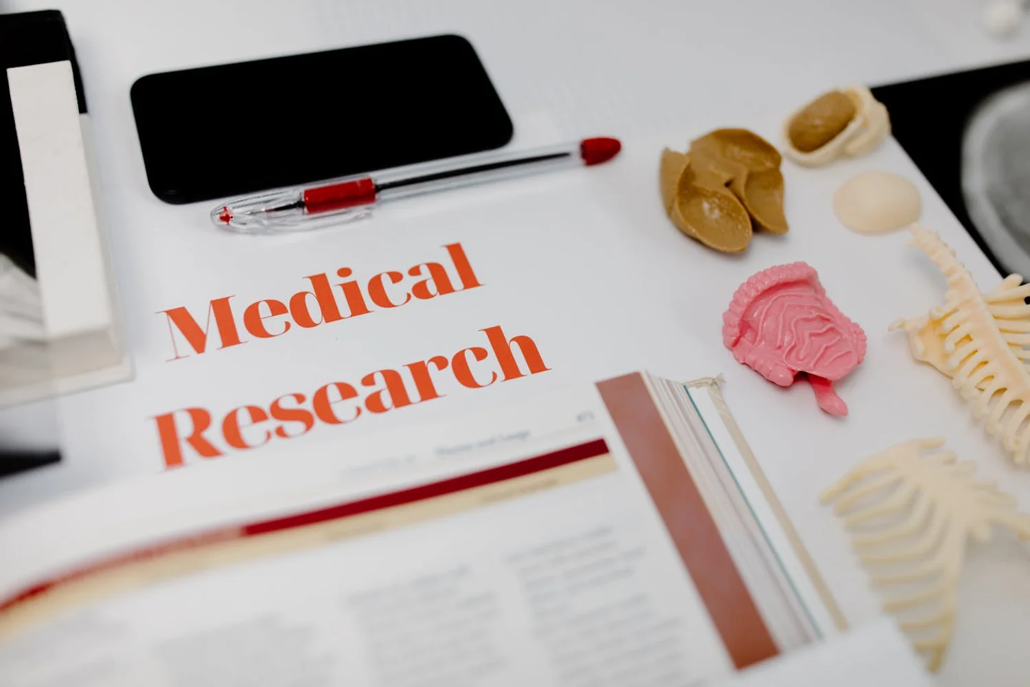 Fono Aprende Colombia · neuroscience brain research professional lab