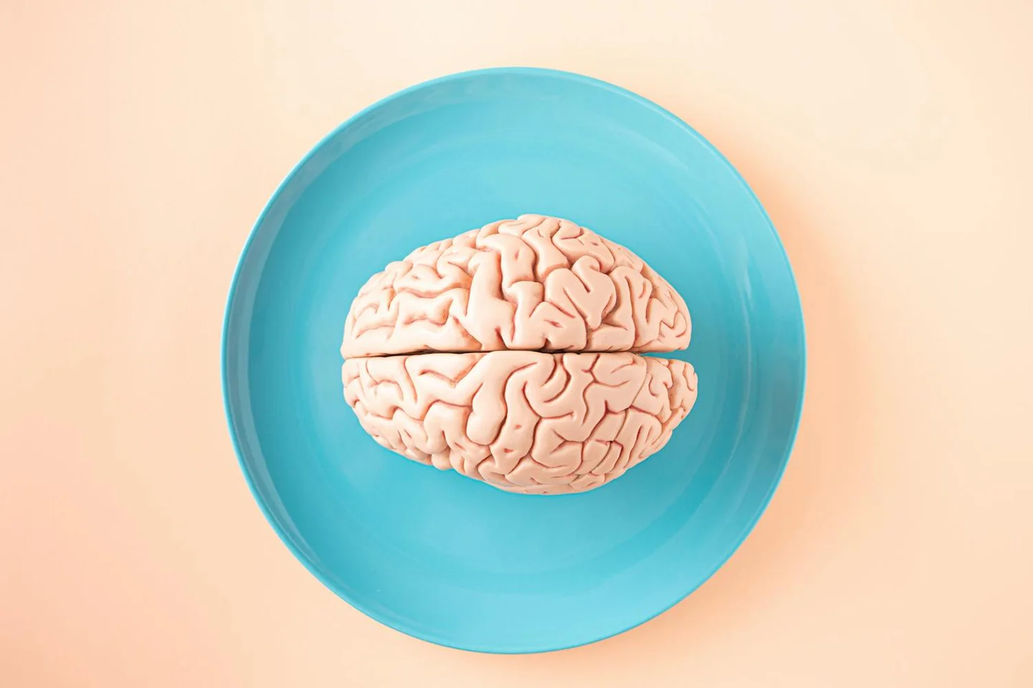 Fono Aprende Colombia · brain anatomy medical educational